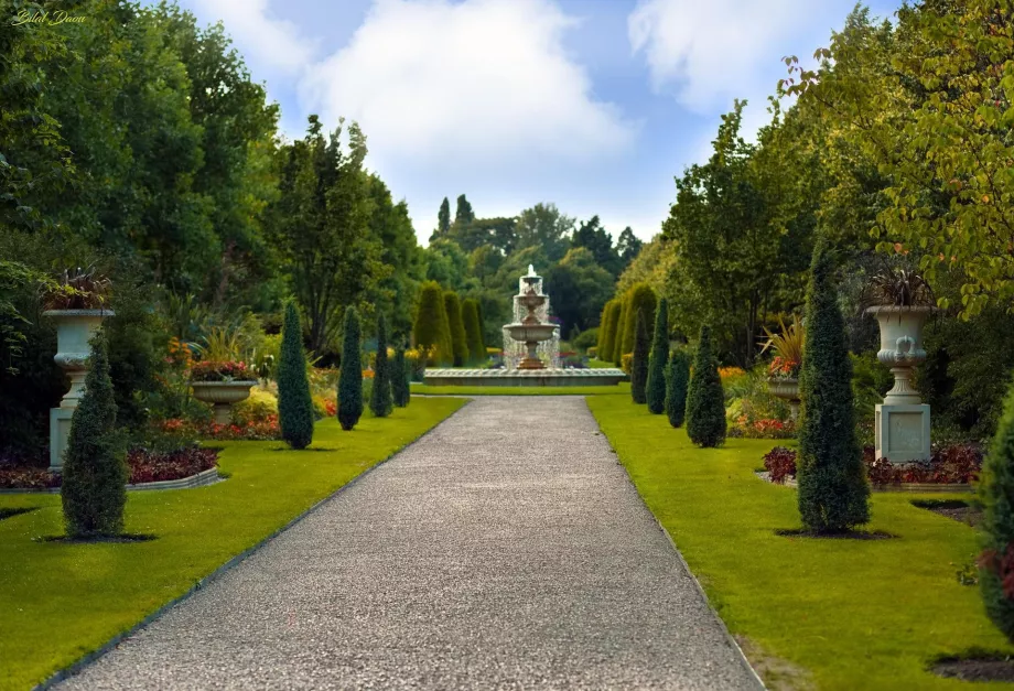 Königlicher Garten im Regent's Park