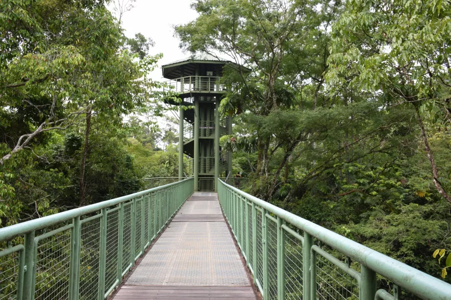 Regenwald-Entdeckungszentrum, Sepilok