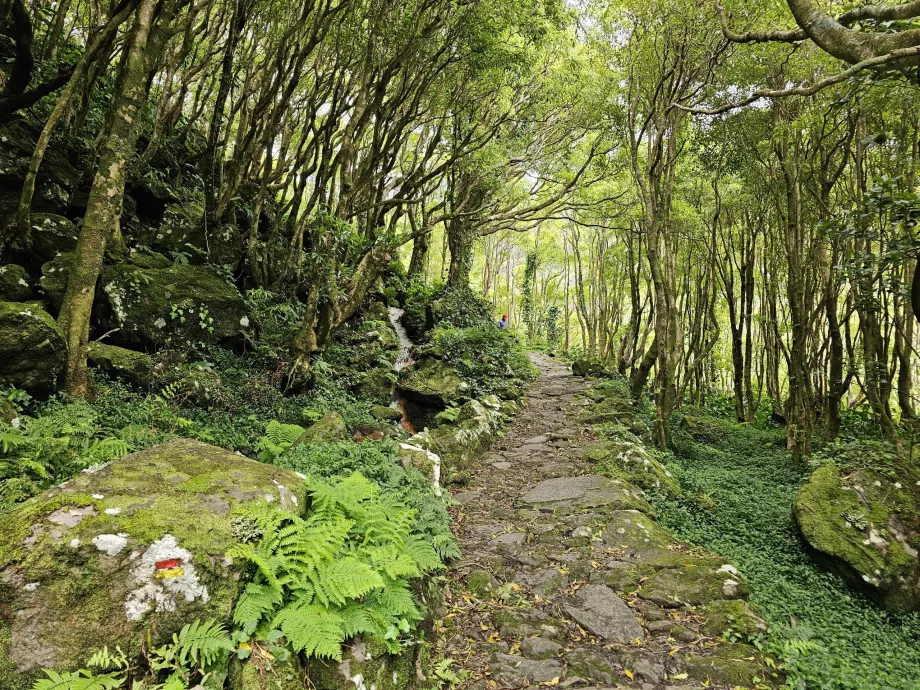 Der Weg zu den Wasserfällen von Ribeira do Ferreiro