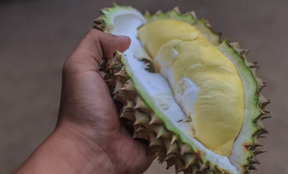 Durian