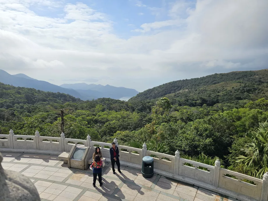 Blick auf die Wälder der Insel Lantau