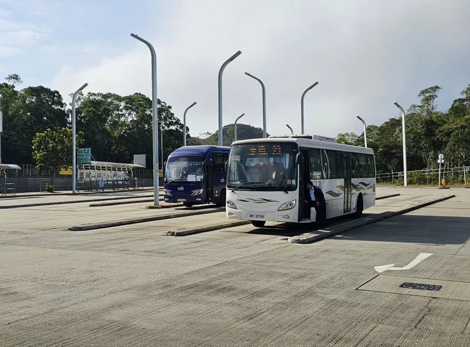 Busse nach Ngong Ping