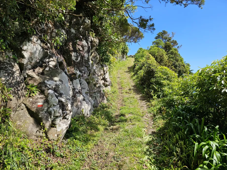 Markierung auf dem Felsen, Trilho Ponta Ruiva-Cedros