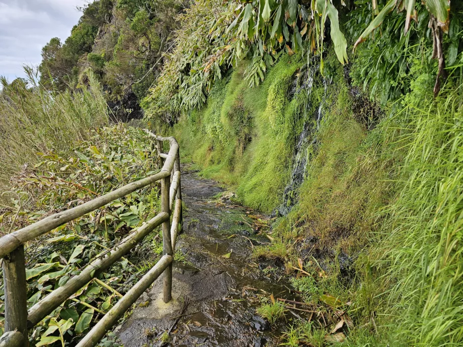 Wanderweg zur Faja de Lopo Vaz