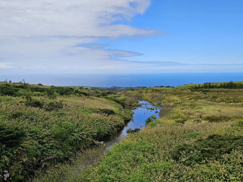 Flores-Hochebene