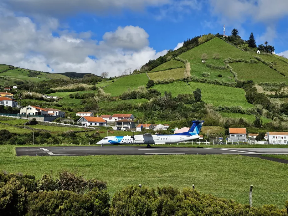 Tierbeobachtungen in Santa Cruz das Flores