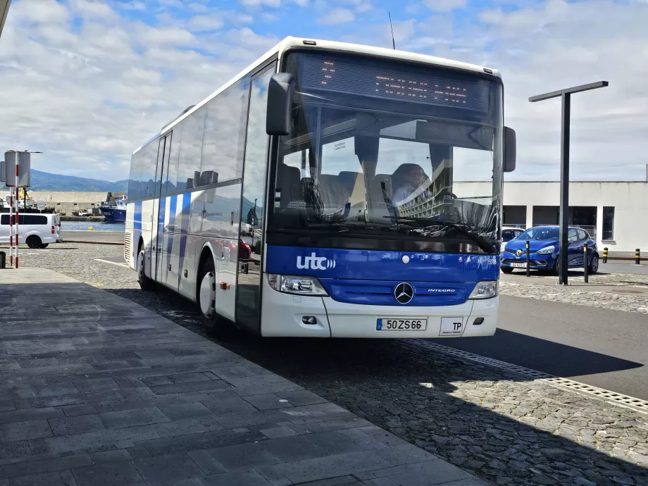 Busse auf der Insel Pico