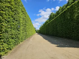 Die Gärten von Versailles