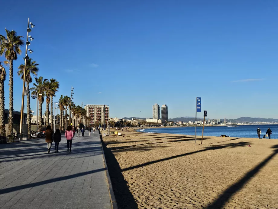 Strand Barceloneta