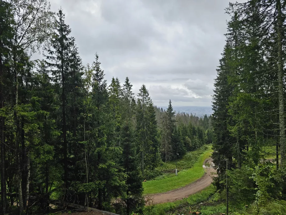 Wandern am Holmenkollen