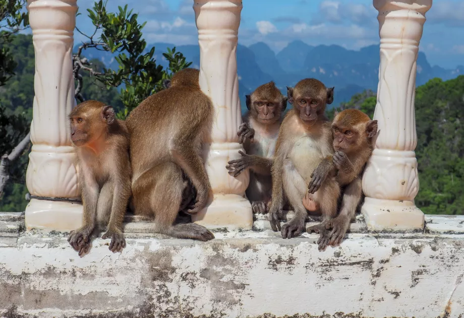 Tigerhöhlentempel, Krabi, Thailand