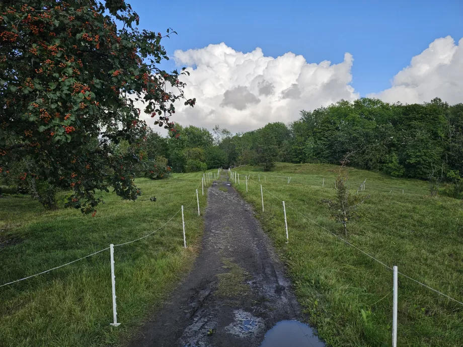 Wanderwege auf der Insel Hovedoya