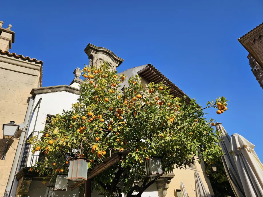 Poble Espanyol