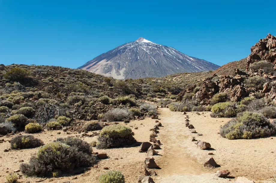 Der Weg zum Pico del Teide