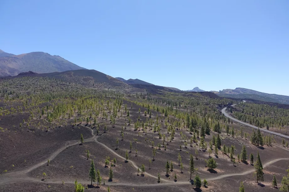 Landschaft des Teide NP