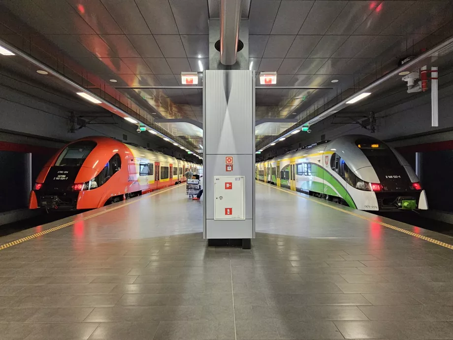 Bahnsteige der Züge - am linken Zug der Linie S (SKM), am rechten Zug der Linie RL