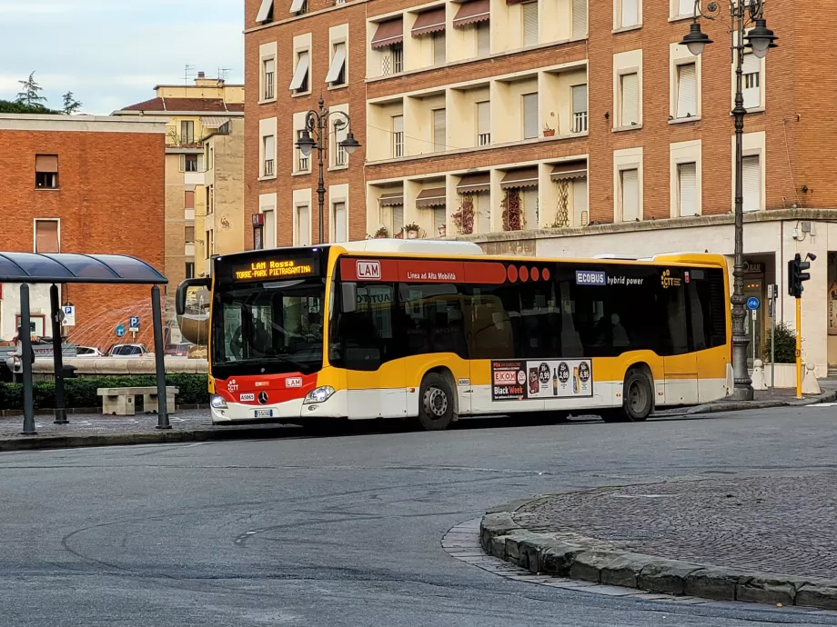 Buslinien LAM Rossa