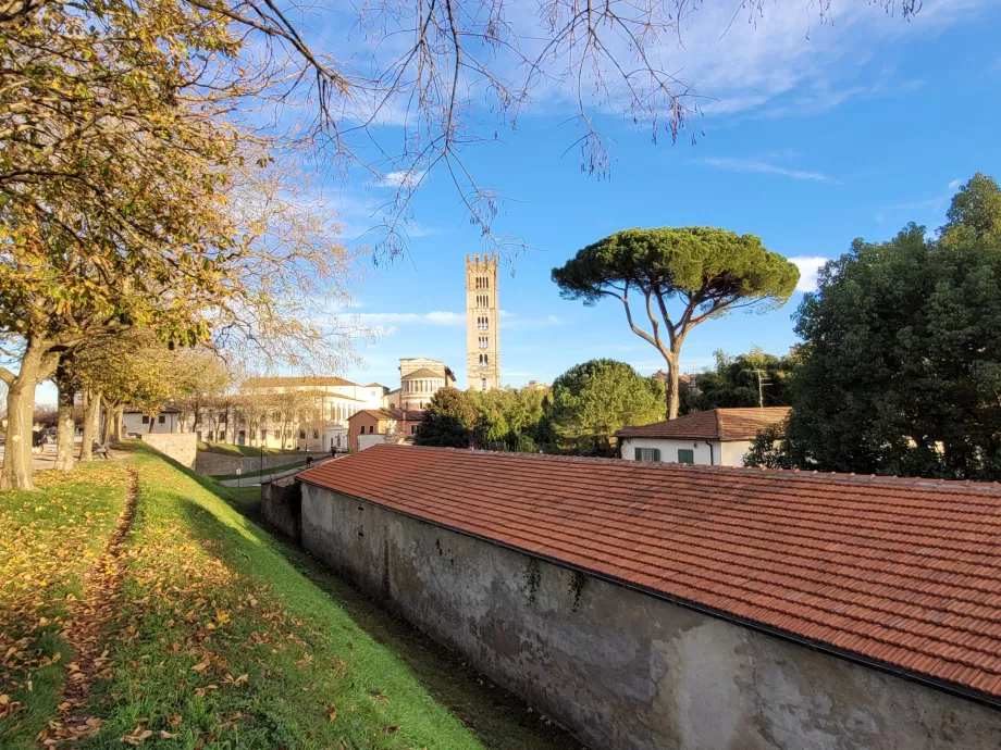 Blick auf die Kirche San Frediano von den Mauern aus