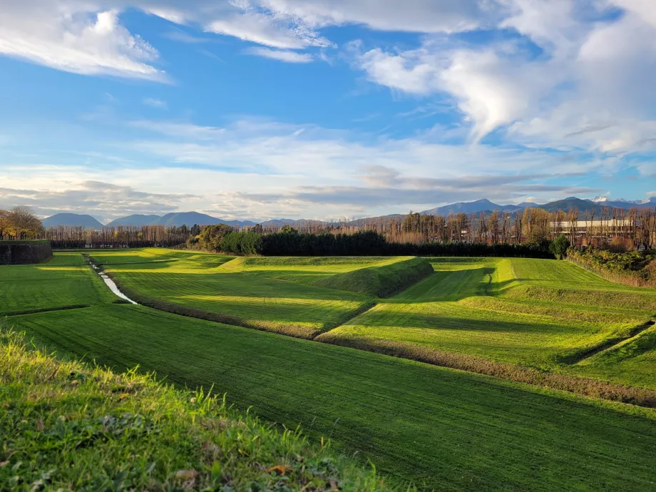 Blick auf die Apuanischen Alpen