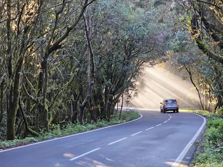 Straßen im morgendlichen Sonnenlicht