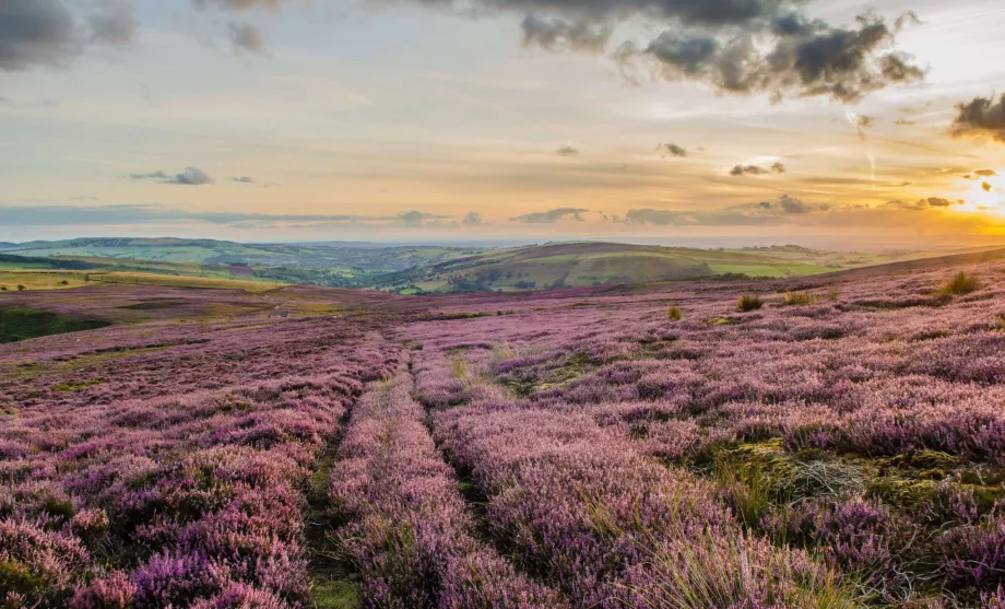 Peak District NP