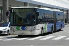EMT-Bus Palma