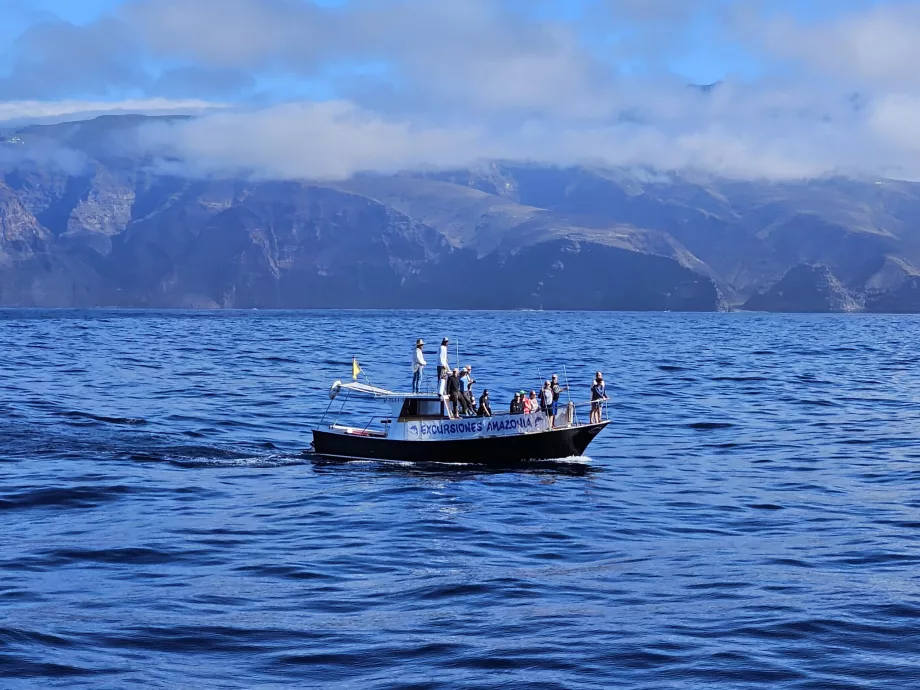 Kreuzfahrten - Whale Watching