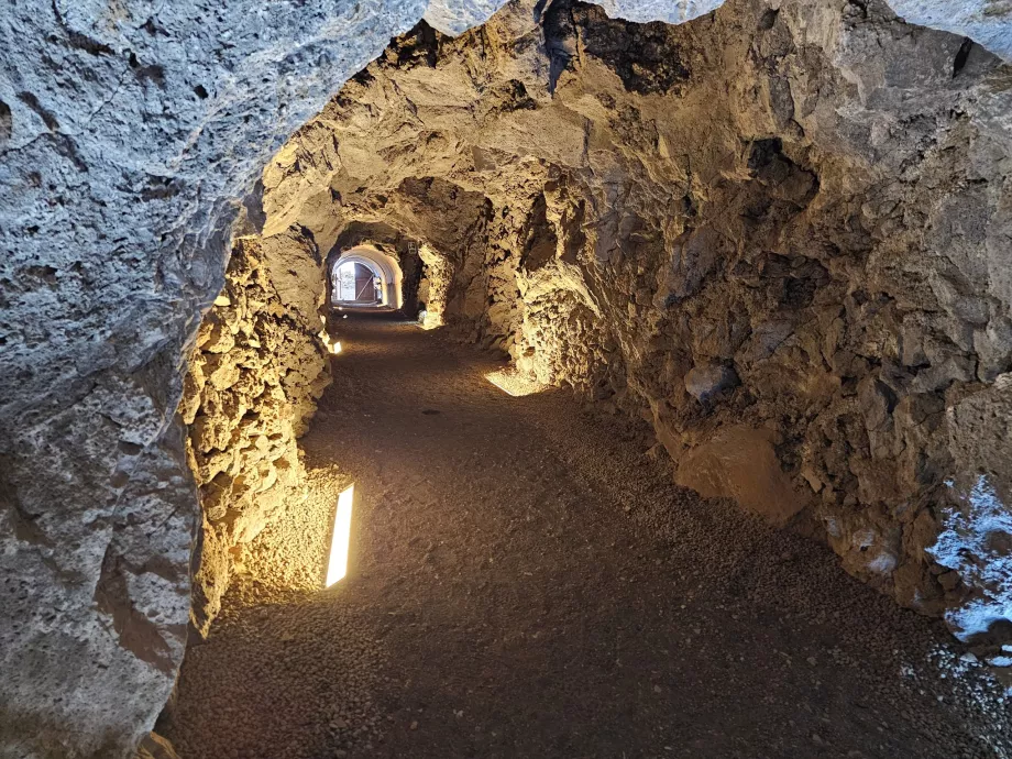 Ökomuseum von Guinea