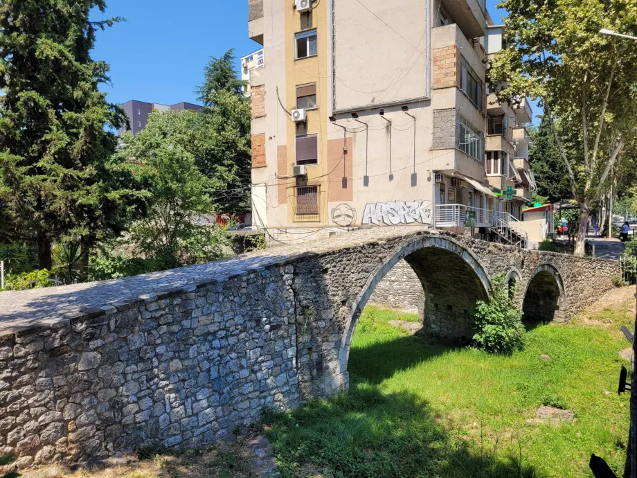 Die Brücke der Tentakel