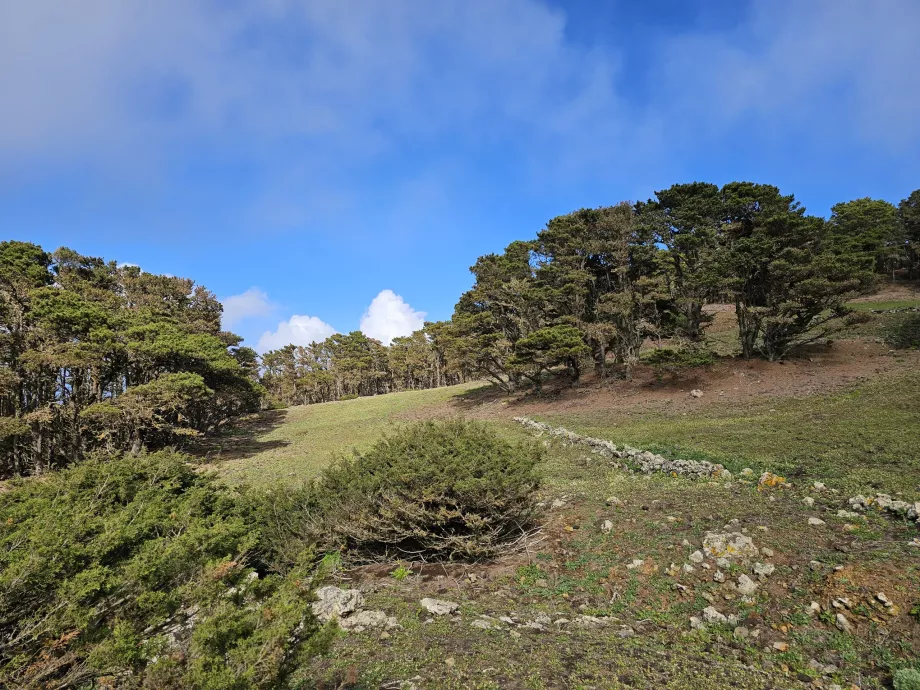 Westliches El Hierro