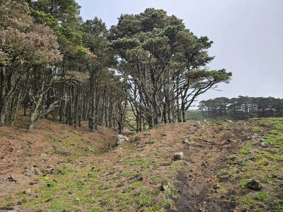 Westliches El Hierro