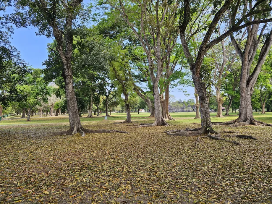 Prambanan-Park