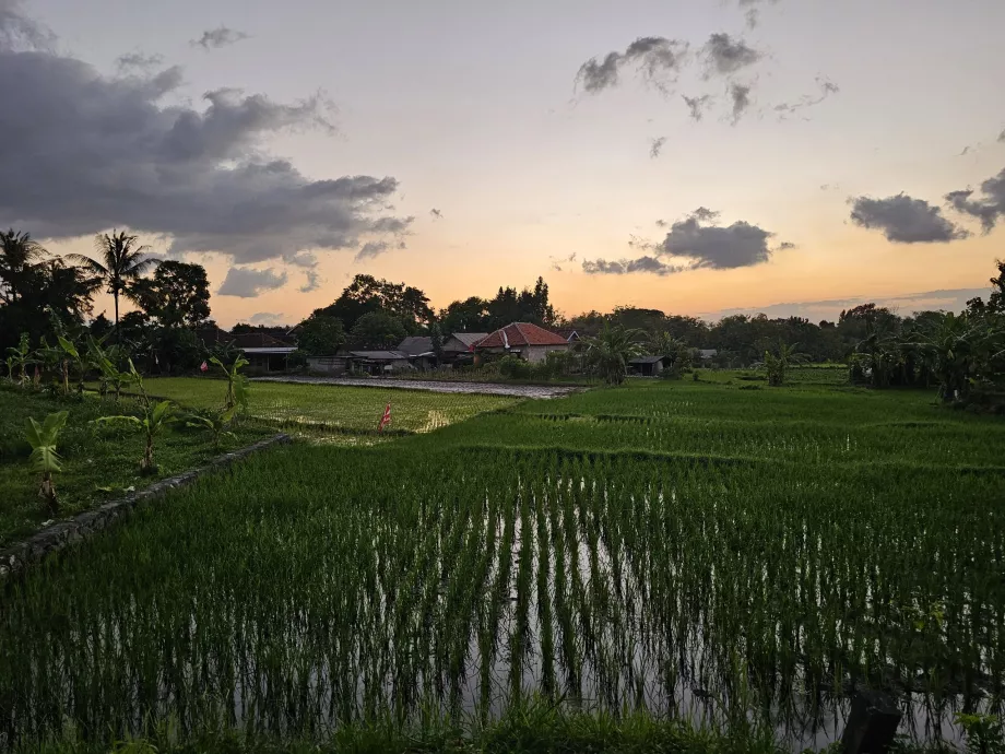 Der Weg nach Ratu Boko