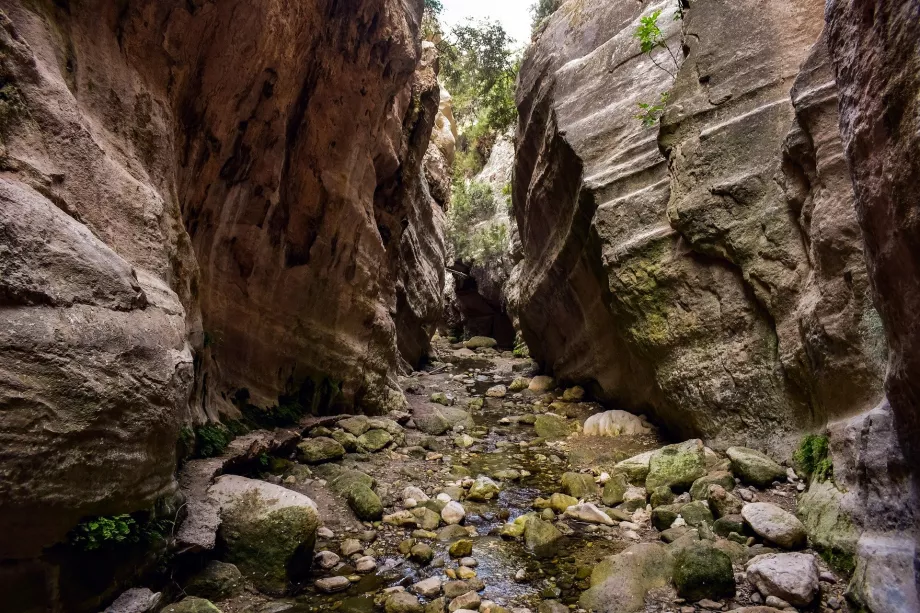 Akamas-Schlucht