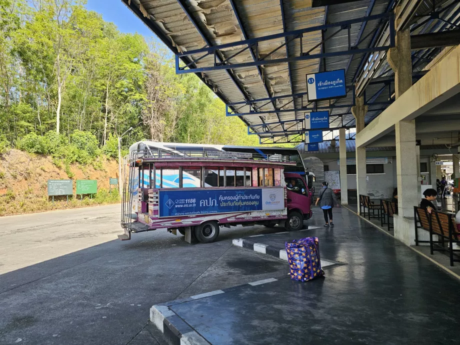 Rosa Bus am Busbahnhof 2