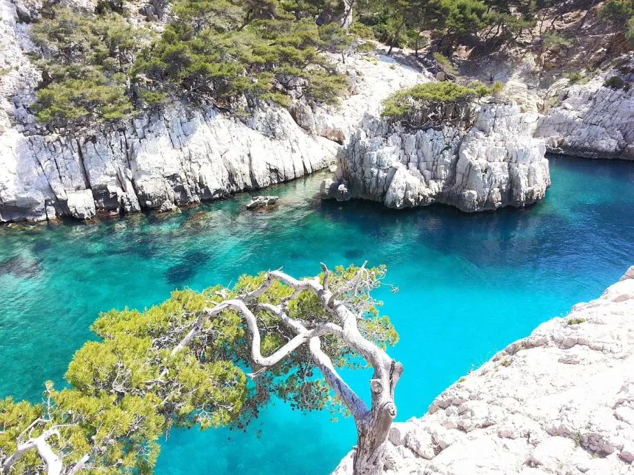 Die Bucht von Calanques