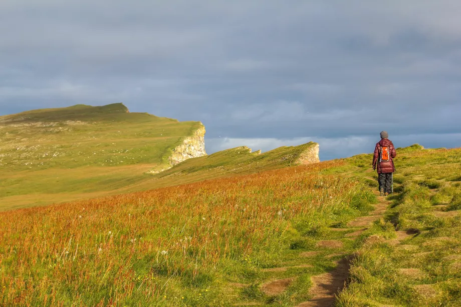 Reise entlang der Klippen