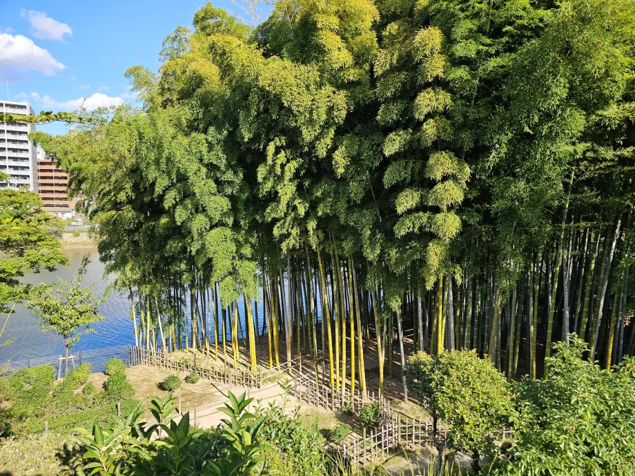 Shukkeien Garten