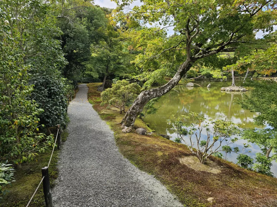 Kinkakuji-Tempelpark