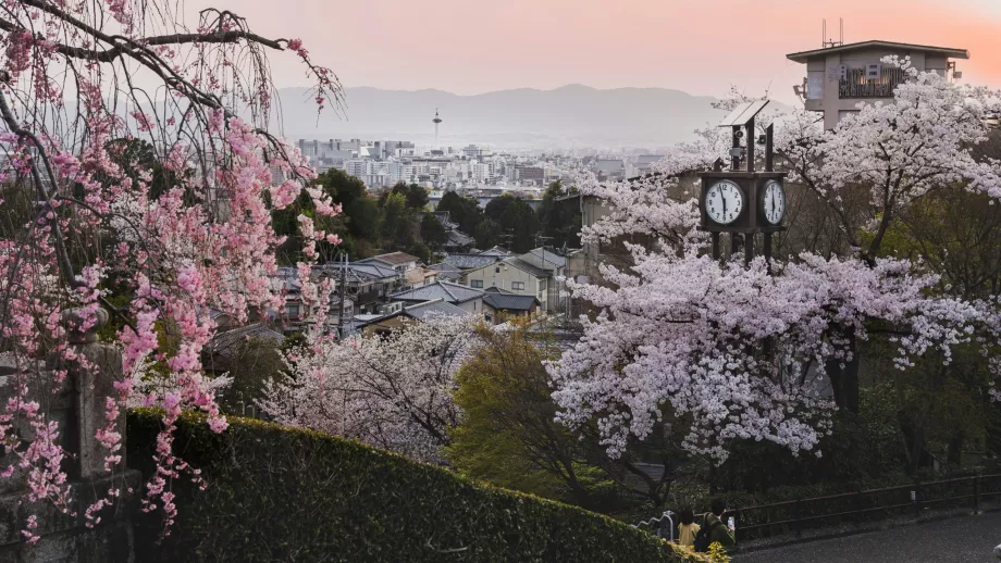 Frühling Kyoto