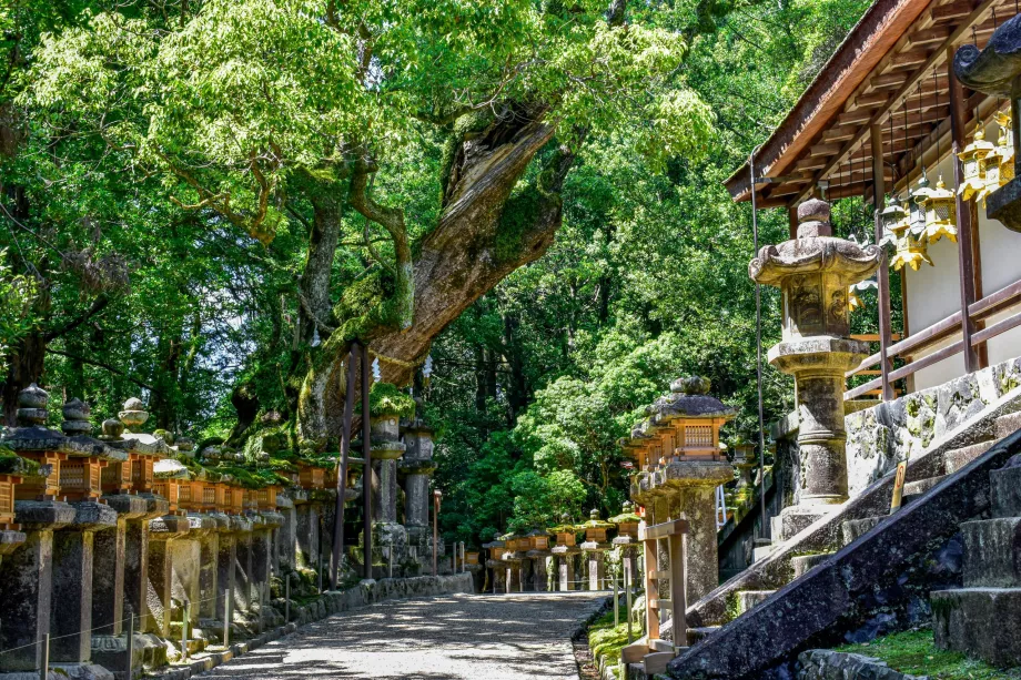 Kasuga-Taisha