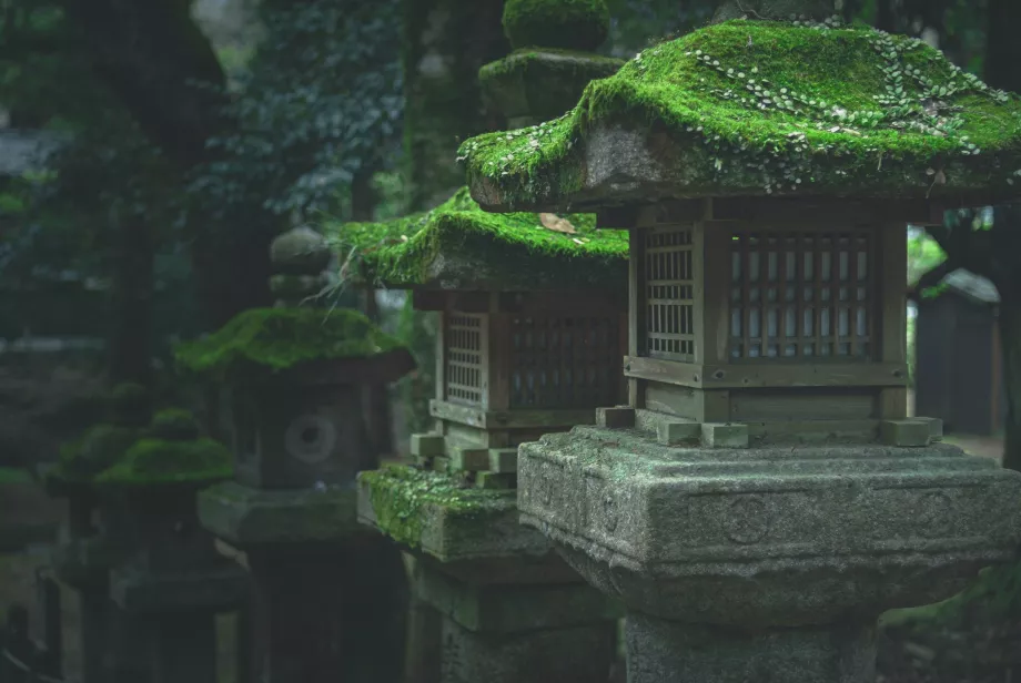 Kasuga-Taisha