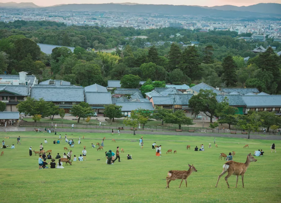 Blick vom Nara-Park