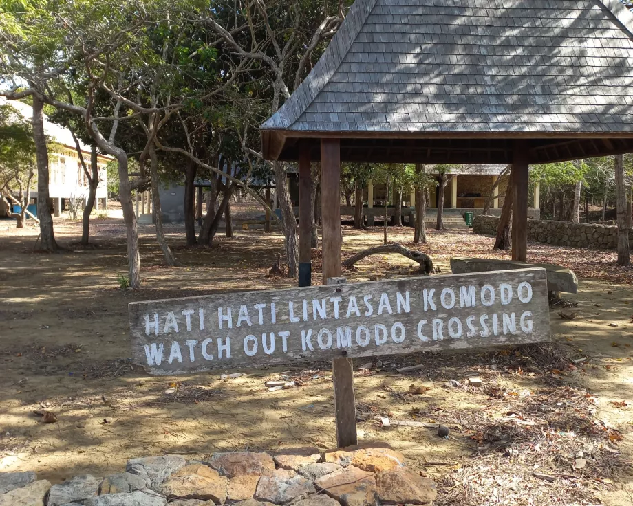 Achtung, Varanus Komodo Inseln, Indonesien