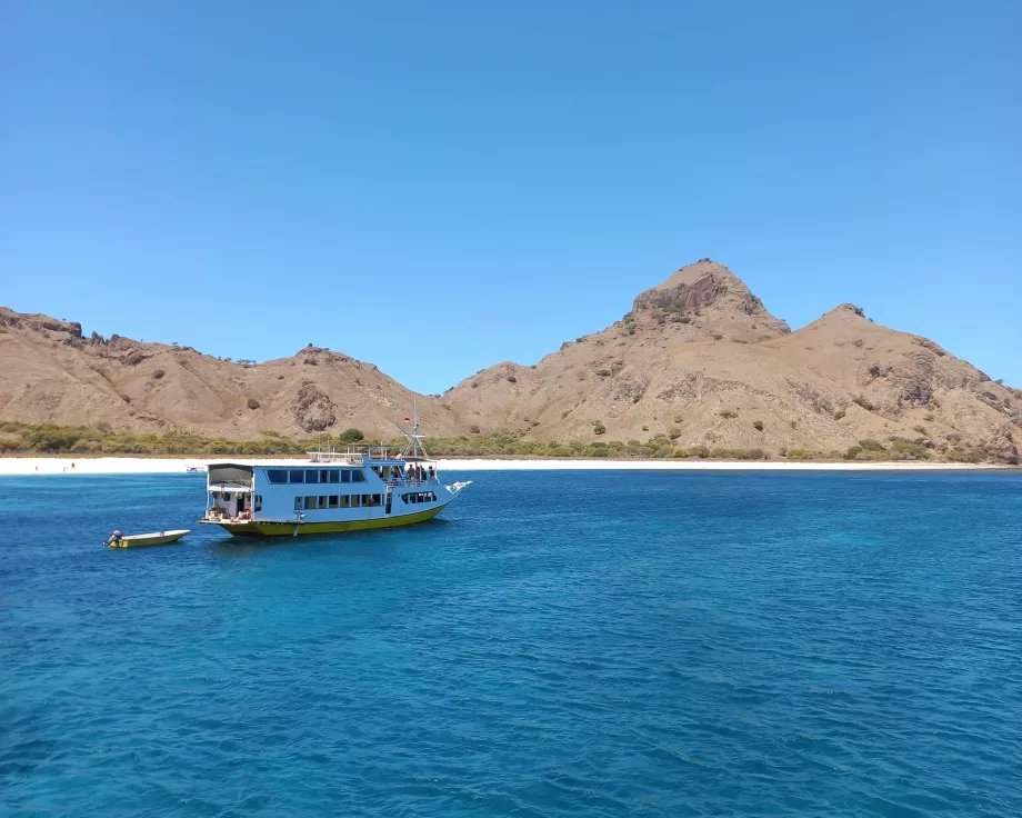 Insel Rinca, Komodo-Inseln, Indonesien