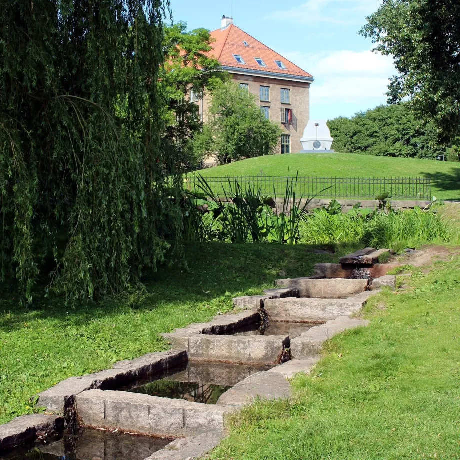 Botanischer Garten