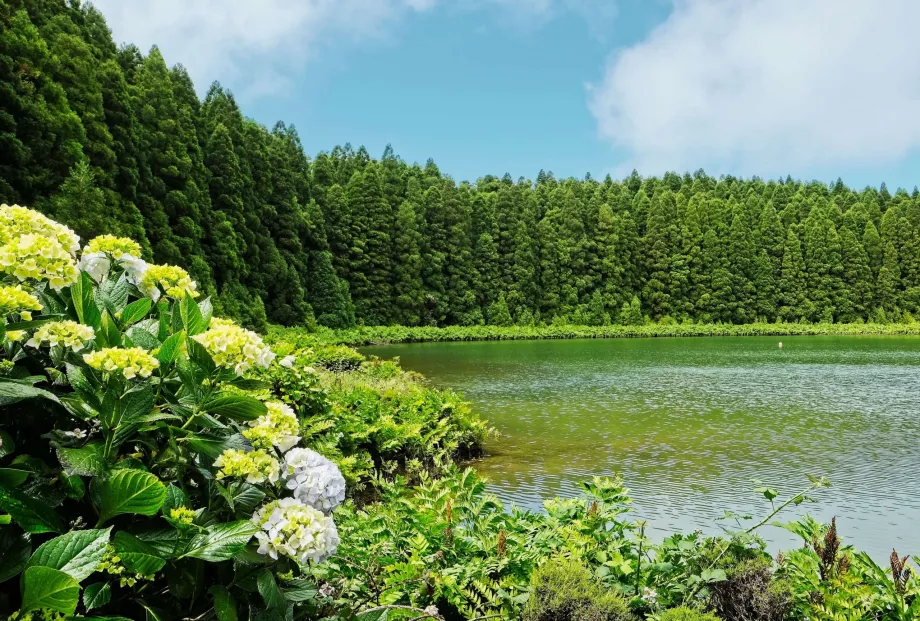 Lago do Canario