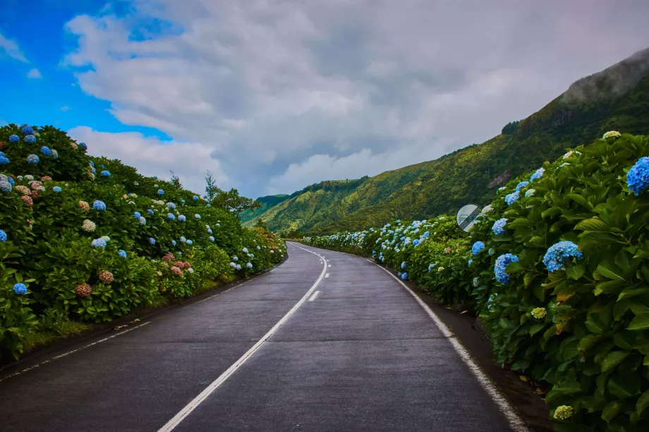 Straße Sao Miguel